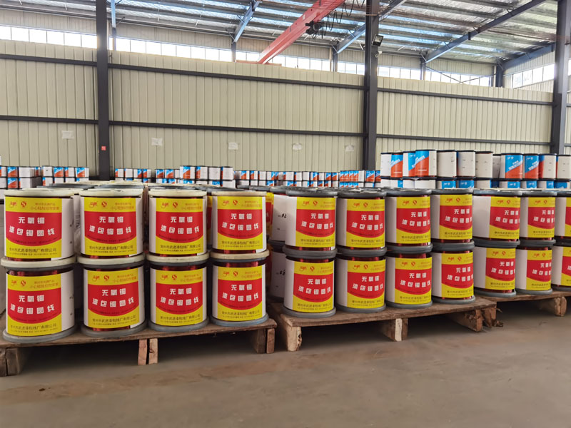 �c���鿴��